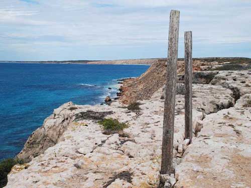 Cape Inscription posts