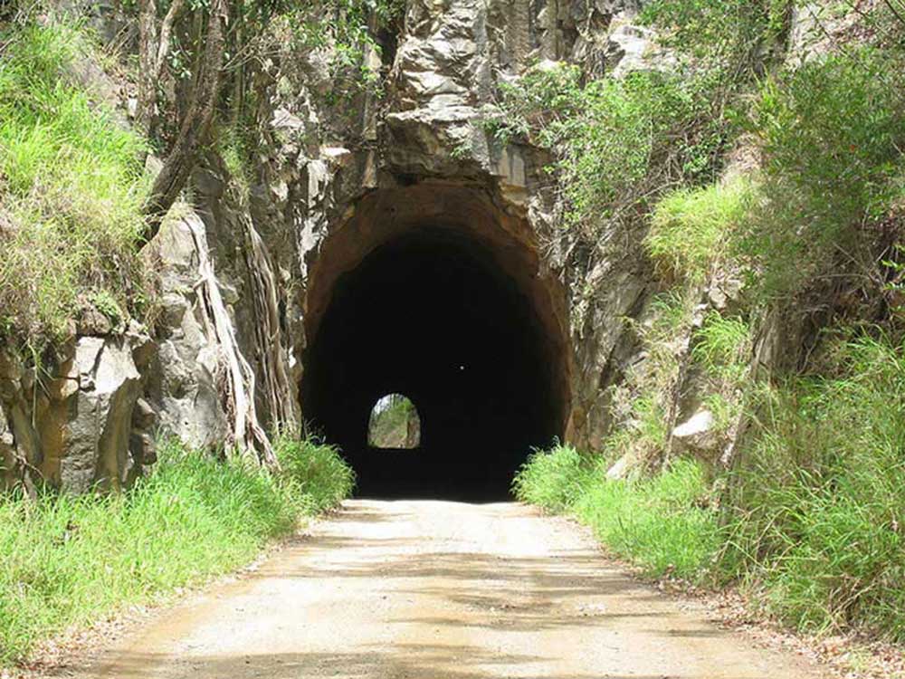 Picton Tunnel