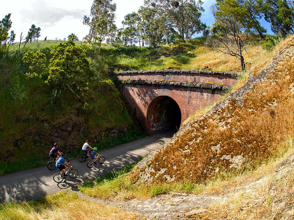 Picton Tunnel