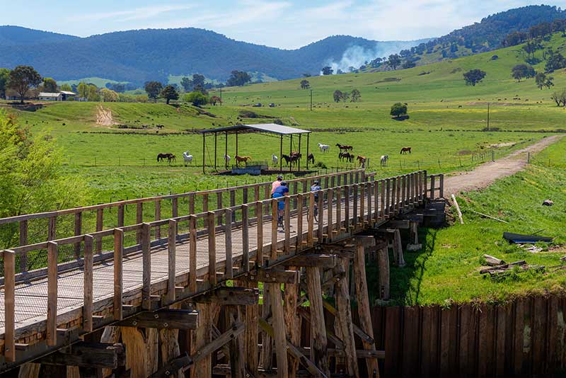 Koetong Trestle Bridges