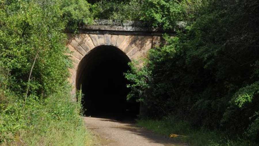 Picton Tunnel