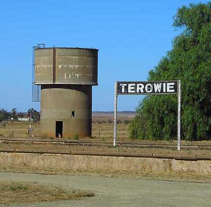 Terowie